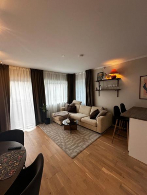 Cozy and central apartment in Tyholt